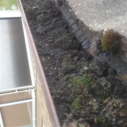 Gutter filled with moss before cleaning, Kesgrave, Ipswich, Suffolk